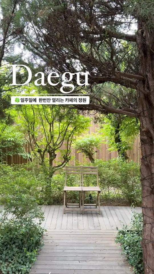대구의 명소 MRNW의 숨겨진 정원