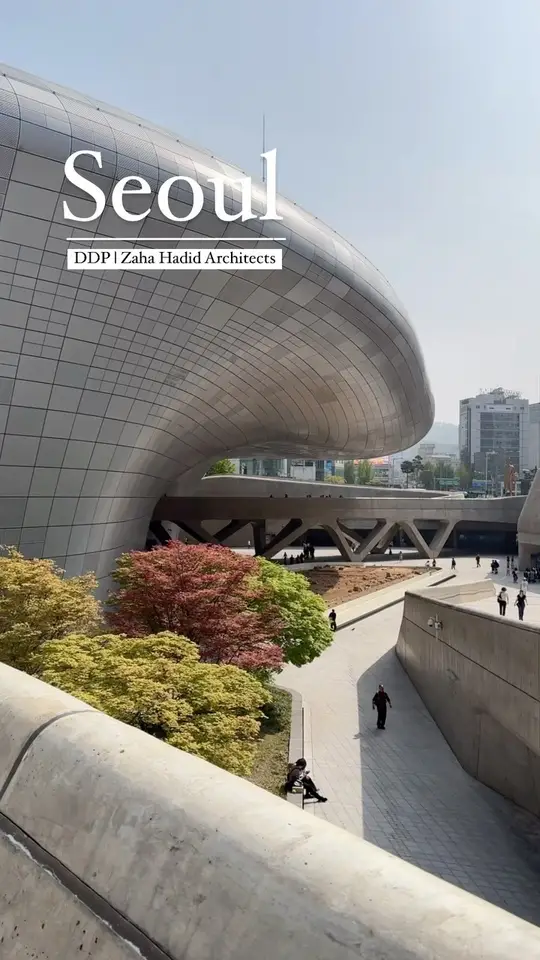 10년이 되어 안착한 우주선과 적응하고 있는 도시