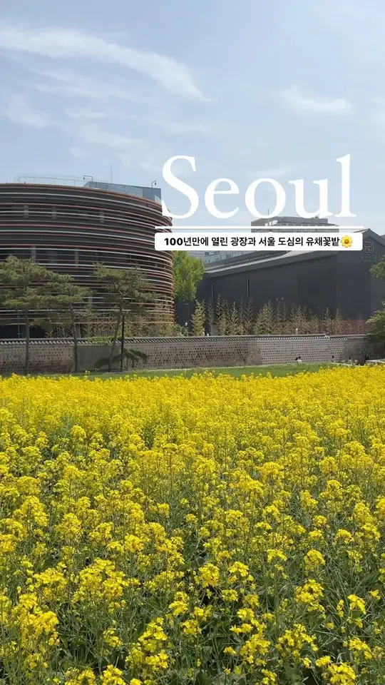 🌼100년 동안 닫힌 땅, 모두에게 열리다.