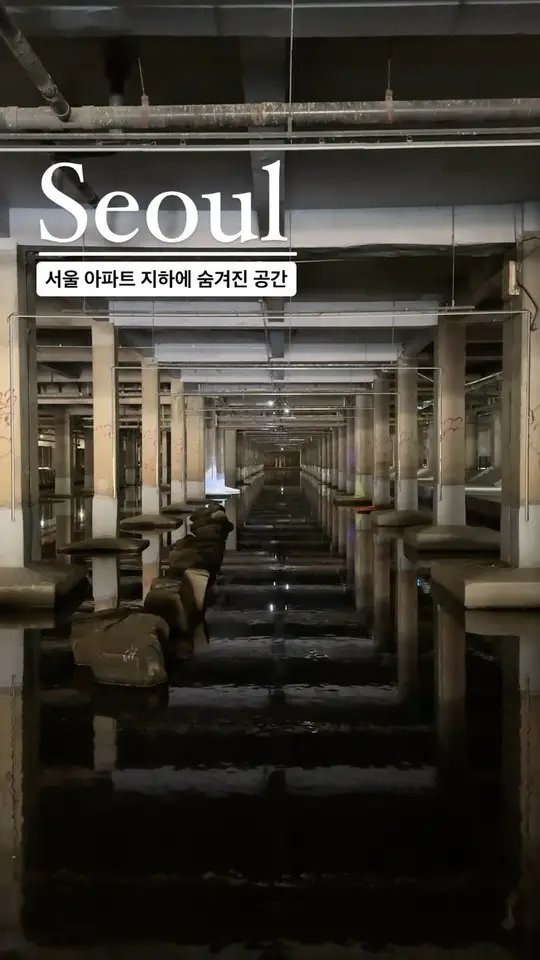 예술이 된 시대의 잔해