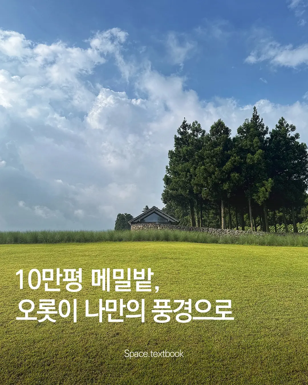 10만평 메밀밭을 오롯이 누리다, 사진 1/11