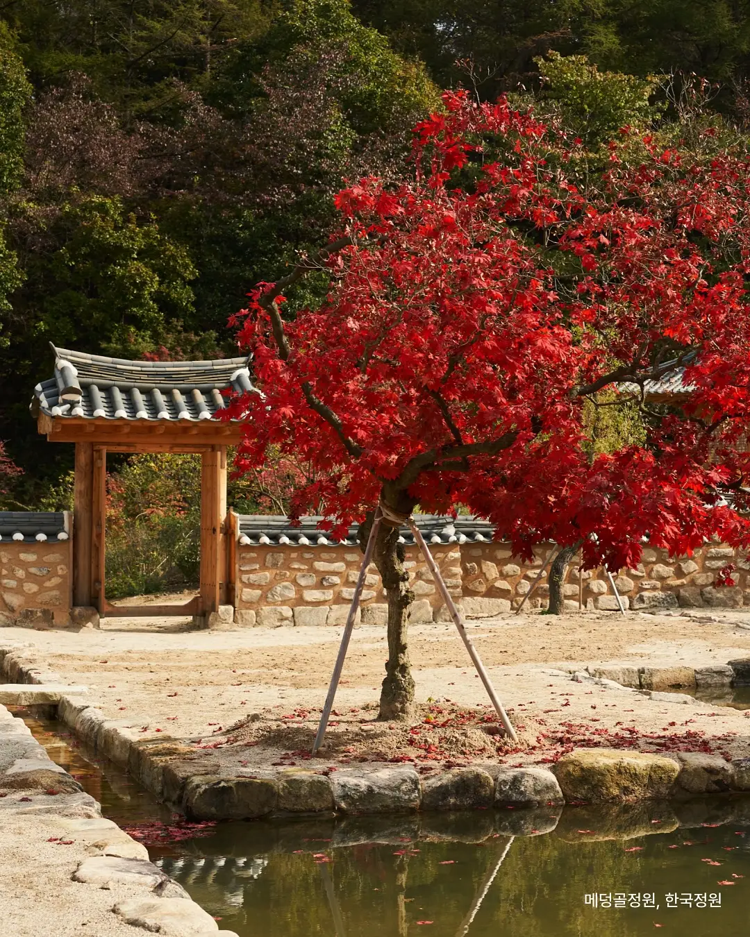 서울대 건축학과 백진 교수님과 함께해요,, 사진 4/7