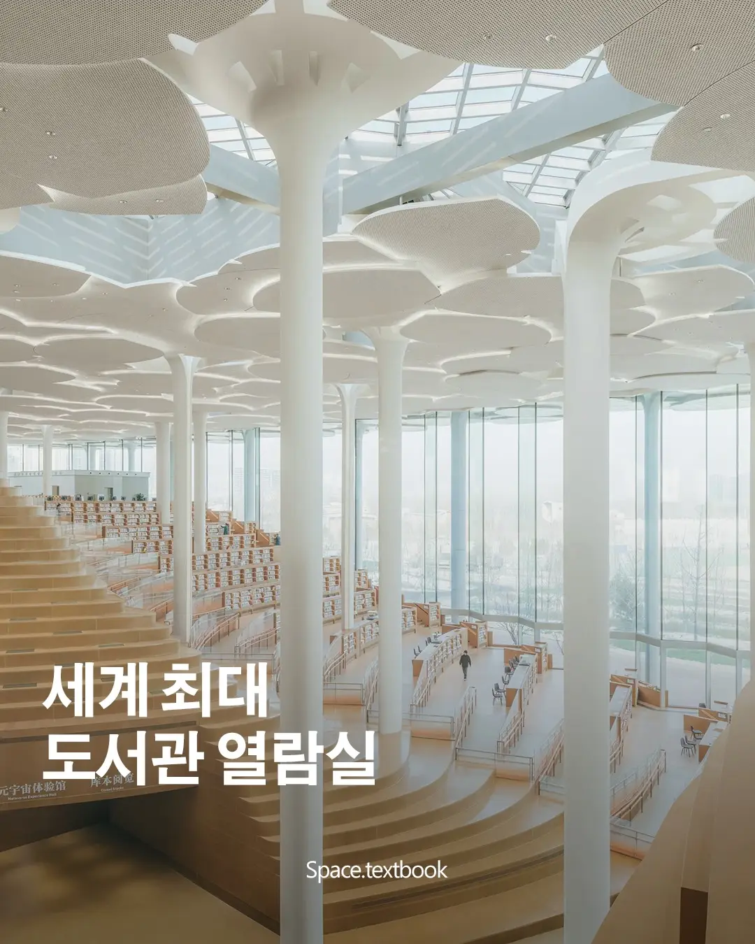 세계 최대의 도서관 열람실, 사진 1/12