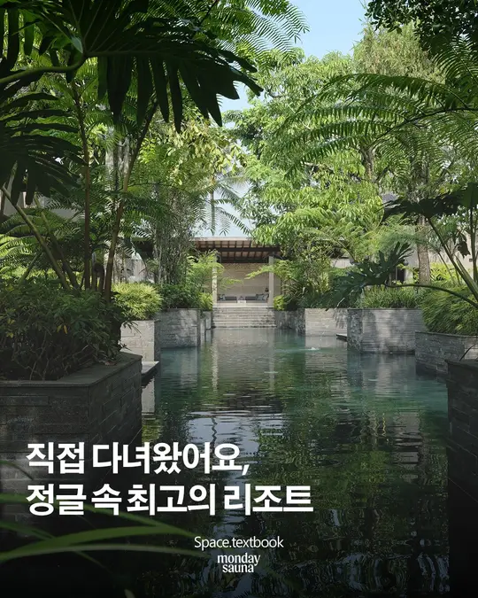 직접 다녀왔어요, 정글 속 최고의 리조트