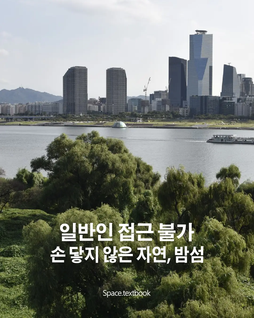 일반인 출입불가, 한강위 손닿지 않은 자연 밤섬, 사진 1/8