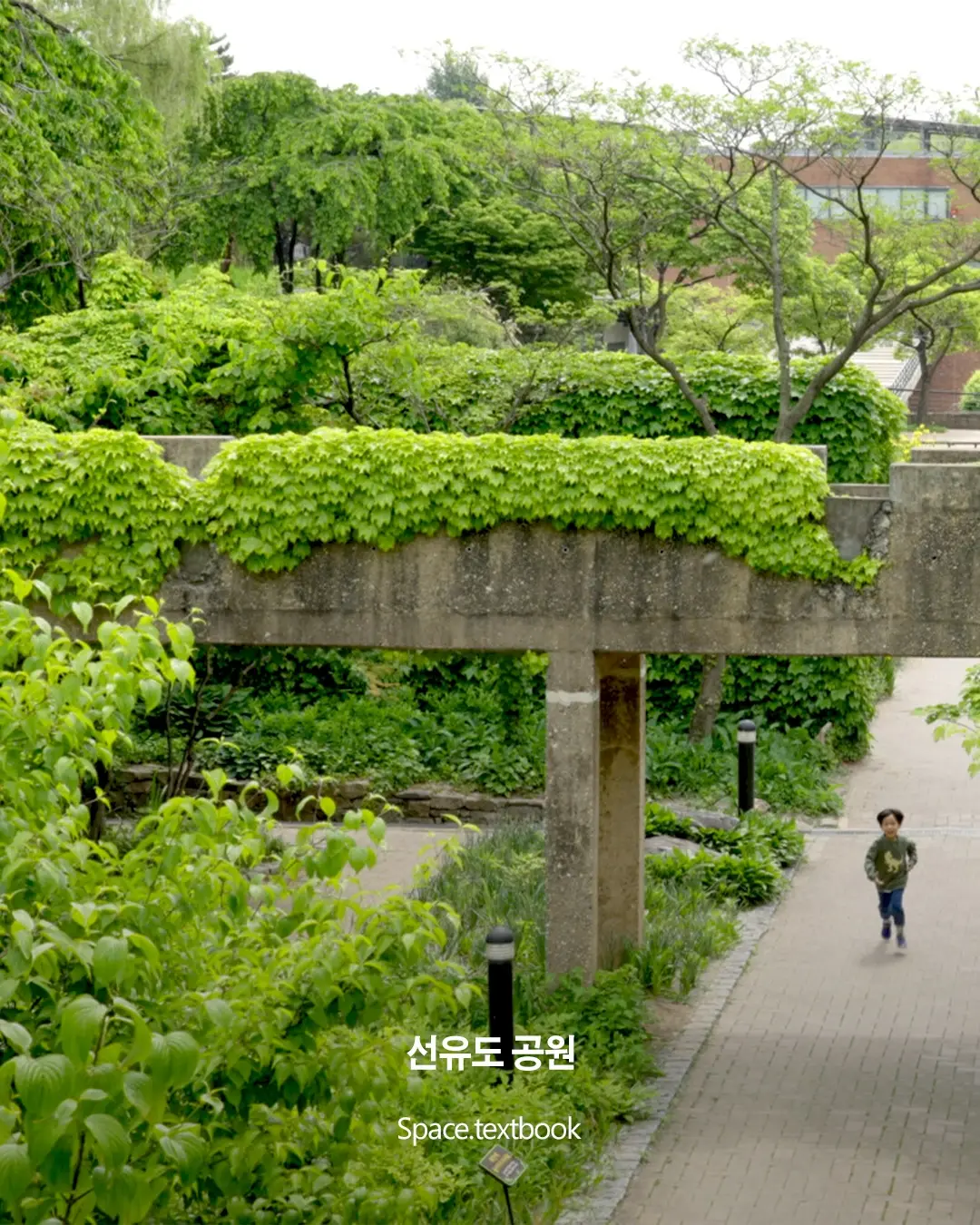국내 1호 조경가 정영선, 포니정 혁신상 수상, 사진 2/9