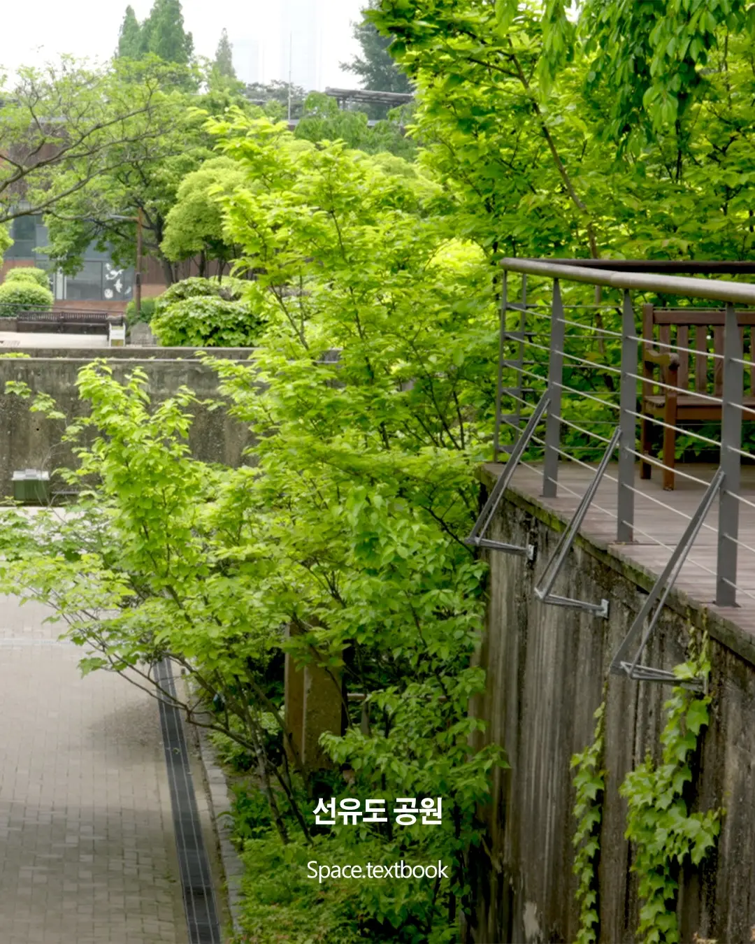 국내 1호 조경가 정영선, 포니정 혁신상 수상, 사진 3/9